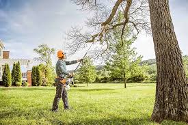 Professional Tree Services in Florence, AL